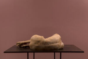 Yaşam Şaşmazer Ya da Zilberman Gallery İstanbul 2021