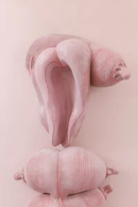 Elsa Sahal Hey Halil Bey! The Pill Gallery 2020